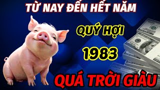 BẤT NGỜ NỔ LỘC TRÚNG LỚN LIÊN TIẾP TỪ NAY CHO ĐẾN CUỐI NĂM TUỔI QUÝ HỢI 1983 QUẢ NÀY QUÁ TRỜI GIÀU [upl. by Wallie775]