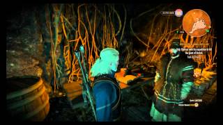 Wyvern Decoction Location Witcher 3 [upl. by Fowler]