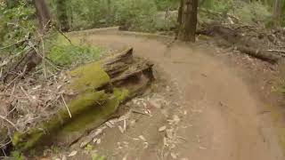 Yeti 160e demo bike  Demo Flow trail [upl. by Senaj]