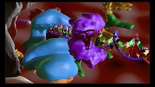 NonHomologous End Joining [upl. by Henka]