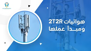 2T2R Antenna Configurations in Cell Towers [upl. by Rhodie]