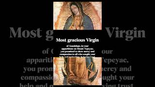 Pray to Our Lady of Guadalupe holyspirit god shorts ourladyofguadalupe faith prayer [upl. by Naashom779]