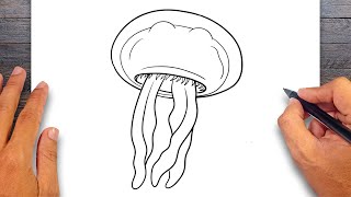 How to draw Jellyfish  Mollusks Drawing [upl. by Shelman802]