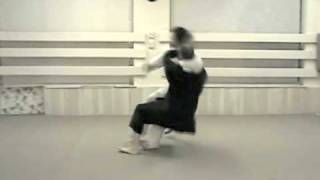 EFFECTIVE AIKIDO GROIN STRIKES 2 [upl. by Neersan94]