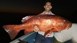 Pesca de PARGOS GIGANTES en ALTAMAR [upl. by Helsa]