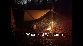 First camp of 2022  Canvas Tarp  Dutch Hooped Bivi  Honey Stove  Swanndri Ranger Shirt [upl. by Meill462]