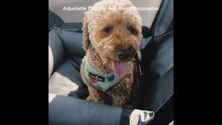 Adjustable Dog Car Seat Belt – Extra Safe amp AntiShock [upl. by Broddy369]