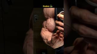 Incredible Arm Veins Unveiled  The Art of Vascularity [upl. by Nylynnej]