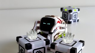 How to Repair Anki Cozmo Cubes DIY 4K [upl. by Olyhs646]