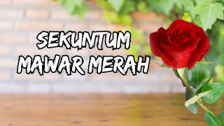 Sekuntum mawar merah [upl. by Auoh]