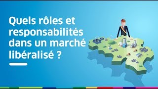 Quels rôles et responsabilités dans un marché libéralisé [upl. by Zoilla221]