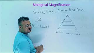 Biological Magnification Biomagnification Biology Capsule  CBSE Class 10th Topic [upl. by Loralee874]