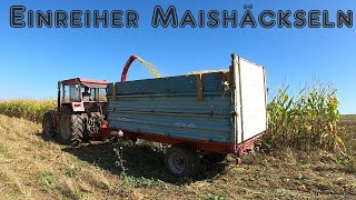 Maishäckseln mit Schlütersound  Restle Agrar [upl. by Schlicher]