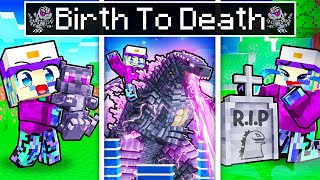 BIRTH to DEATH of GODZILLA in Minecraft [upl. by Immas]