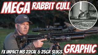 MEGA FX Impact M3 Rabbit Cull with Bonus Birds  My BIGGEST Night on the Bunnies  PCP Hunting [upl. by Sitoel]