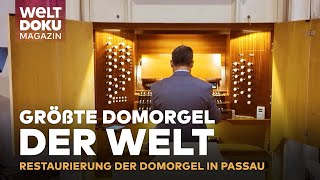 GRÖSSTE DOMORGEL DER WELT Restaurierung von Passaus monumentaler Domorgel  MAGAZIN [upl. by Eicart]