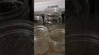 FREE GLASS JARS useitup wastenotwantnot savedfromlandfill glassjars [upl. by Neerbas650]