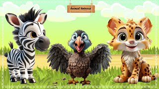 Lovely Animal Sound Zebra Vulture Leopard [upl. by Hgielrak995]