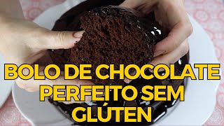 Receita do Bolo de Chocolate sem Glúten e sem Leite Perfeito  Fácil  Prático [upl. by Morse]