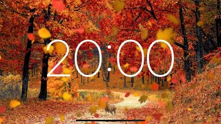 20 Minute Timer  Autumn Leaves Falling Forest Ambience [upl. by Ahsirak]