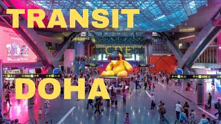 How to Transit in Doha Airport  How to Transfer flight in Hamad AirPort Doha Qatar 🇶🇦 [upl. by Ariuqahs622]