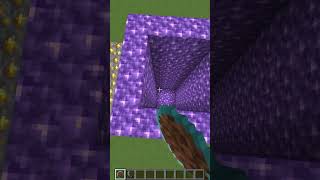 Hole Filler Mod vs Different LVL Gaps shorts meme minecraft [upl. by Sheila]