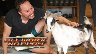 All Work No Play Goat Yoga [upl. by Vihs31]