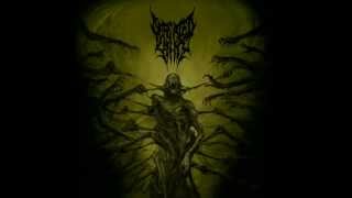 DEFEATED SANITY  NARAKA NEW 2013 [upl. by Leizar373]