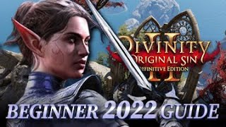 Divinity Original Sin 2 Definitive Edition Review [upl. by Arbua]