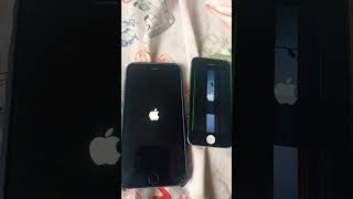 iphone 5s vs iphone 6 plus [upl. by Nahtnahoj582]