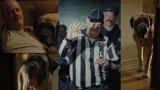 The Farmers Dog Commercial 2024 Referee Ad Review [upl. by Behl561]