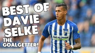 Best of Davie Selke  The Goalgetter HD  Hertha BSC [upl. by Llirrehs636]