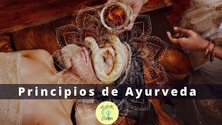 Principios de Ayurveda [upl. by Boff]