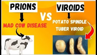 Subviral Particles  Prion and Viroid  prions vs Viroids [upl. by Aerdnu]