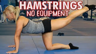 Best Hamstring Exercises with NO Equipment [upl. by Ollecram766]