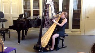 The Moldau Bedrich Smetana harp [upl. by Yerhpmuh]