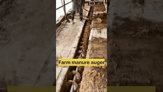 Farm manure auger to lift sand and manure separate farming [upl. by Brindell579]