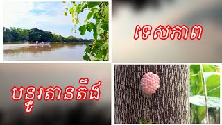 ទេសភាពបន្ធូរអារម្មណ៍តានតឹង Bearn Bunnat [upl. by Greenquist508]