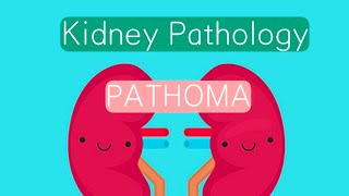 Kidney Pathology PATHOMA 3  Nephrotic Syndrome [upl. by Llenna]