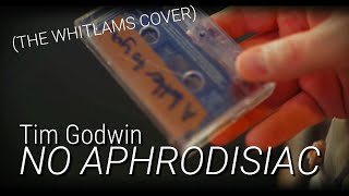 Tim Godwin  No Aphrodisiac The Whitlams Cover [upl. by Grote]