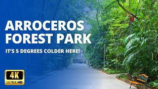 Arroceros Forest Park  Manilas Last Lung  Full Walk Tour [upl. by Ethelyn]