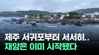 자막뉴스 quot서귀포는 이미quot 재앙 시작…심각하다는 현상  News [upl. by Hcire]