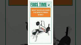 Bench Press Bodybuilding FAQs Answered Exercise Tips and Tricks [upl. by Itisahc]