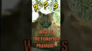 What Is The Fiskerton Phantom mystery cryptids secret ben10 england cartoonnetwork alien [upl. by Nnylak592]