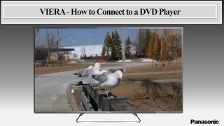 Panasonic  Television  Function  How to Connect to a DVD Player [upl. by Bowers840]