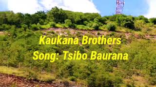 Tsibo Baurana  Kaukana Brothers 2021 PNG Music Audio [upl. by Asa720]