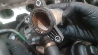 BMW B48 B38 B58 B47 B57 Coolant Leak Engine Block Coolant Connector Failure [upl. by Aleuqahs904]