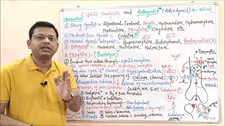 Opioid Analgesic amp Antagonist Part 03  Classification MOA and Pharmacological Effect of Opioid [upl. by Ladnyc]