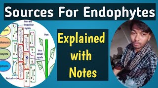 Mycology6Sources for Endophytes isolationMedicinalplantsGrassMangrovesPhDRohit Shankar Mane [upl. by Ahsyla]