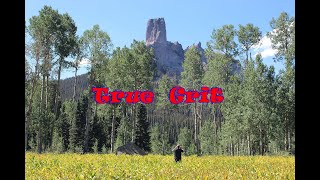 Visiting the True Grit Meadow 1969 John Waynes shootout site high in the mountains beautiful place [upl. by Nevins]